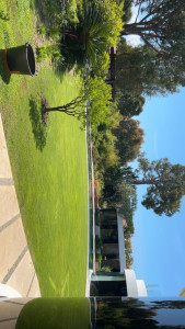 Photo de galerie - Gazon saint-Jean-Cap-Ferrat