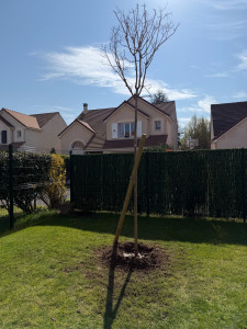 Photo de galerie - Paysagiste - Aménagement du jardin