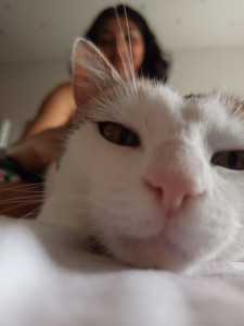 Photo de galerie - Garde chat