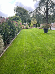 Photo de galerie - Passion Gazon