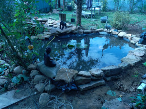 Photo de galerie - Création bassin 