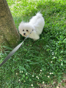 Photo de galerie - Promenade dans le parc 