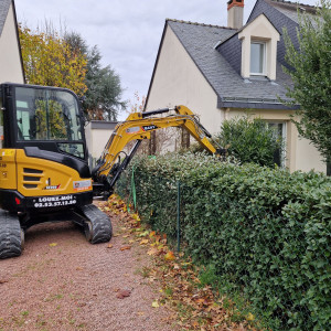Photo de galerie - Elagage et coupe d'arbres