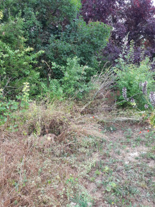 Photo de galerie - Avant 