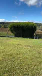 Photo de galerie - Avant