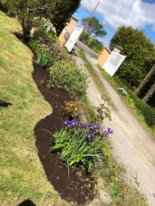 Photo de galerie - Paysagiste - Aménagement du jardin