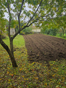 Photo de galerie - Pose de pelouse, gazon.