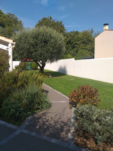 Photo de galerie - Tonte de pelouse - Débroussaillage