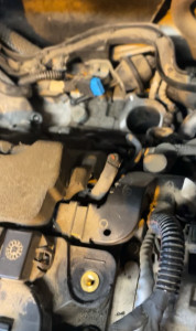 Photo de galerie - Vanne egr sur 1.6 hdi