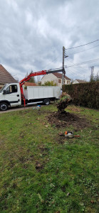 Photo de galerie - Derasinage 