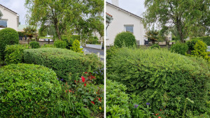 Photo de galerie - Bonjour Klein Élagage vous présente taille d'arbustes enlèvement des déchets à la fin des travaux.

Klein élagage vous souhaite une bonne journée.