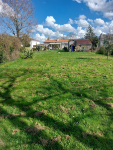 Photo de galerie - Débroussaillage du terrain et nettoyage 