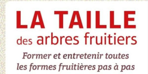 Photo de galerie - Taille de arbre fruitiers 