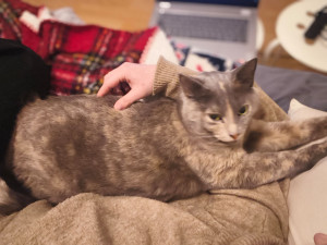 Photo de galerie - .
