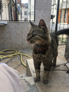 Photo de galerie - .