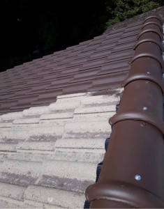 Photo de galerie - Remplacement d’un faîtage en closoir ventilé ainsi qu’un décapage sur tuiles bétons et remise en peinture hydrofugé 
