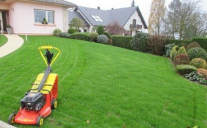 Photo de galerie - Semis de gazon de haute qualité professionnel auto régénérateur à forte résistance aux chaleurs et piétinements, aplatissement de terrain avec un rouleau en fonte de 72 kilos et première tonte du gazon avec ratissage et enlèvement des herbes coupées