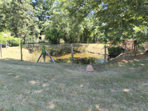 Photo de galerie - Tonte et débroussaillage d' un parc 