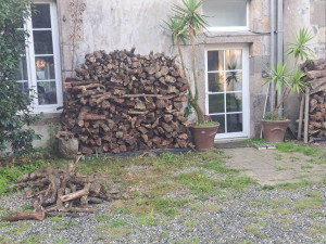 Photo de galerie - Stockage de bois sur palettes.