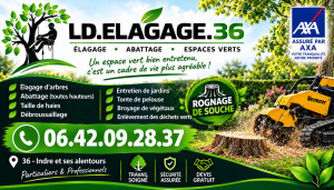 Photo de galerie - Type professionnel 