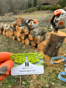 Photo de galerie - Élagage / Abattage V Débroussaillage V Taille de haies V Nettoyage & création d'espaces verts V Évacuation des déchets verts