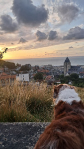 Photo de galerie - . 