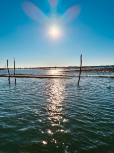 Photo de galerie - Tout services divers dans mes capacités 