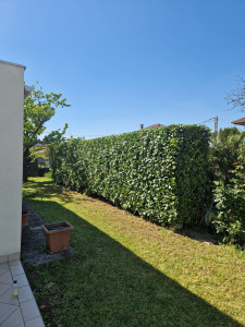 Photo de galerie - Aprés
