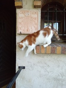 Photo de galerie - Dali - 08/25