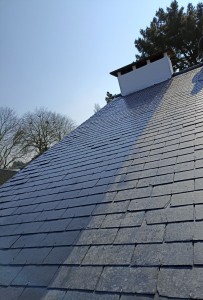 Photo de galerie - Peinture - Tapisserie