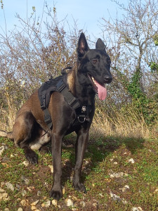 Photo de galerie - Mon malou 