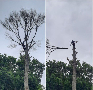 Photo de galerie - La photo parle d'elle même 