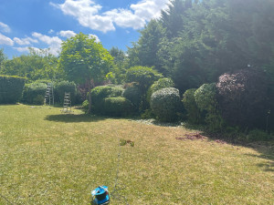 Photo de galerie - Après 