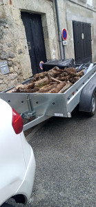 Photo de galerie - Nettoyage jardinet 
