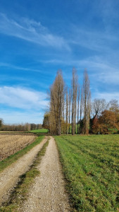 Photo de galerie - Promenades