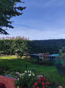 Photo de galerie - Taille de haies et d'arbustes