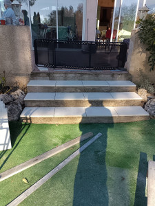 Photo de galerie - Changement de marche d'escalier 