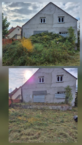 Photo de galerie - Débroussaillage ronces avant apres 