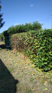 Photo de galerie - Jardinier