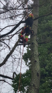 Photo de galerie - ??