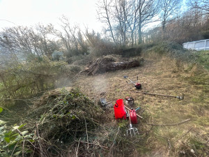 Photo de galerie - Elagage et coupe d'arbres