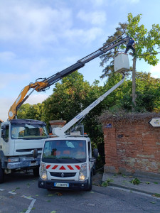 Photo de galerie - Coupe et évacuation d'un arbre qui poussait contre la maison. Dessouchage évacuation
