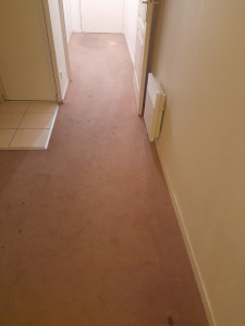 Photo de galerie - P