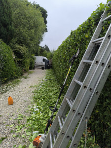 Photo de galerie - Jardinier