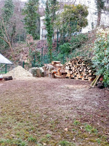 Photo de galerie - Rangement des stères de bois sur Montmorency