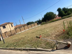 Photo de galerie - Tonte de pelouse - Débroussaillage