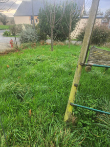 Photo de galerie - Tonte pelouse 