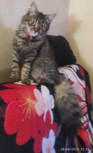 Photo de galerie - Dakota 9 mois