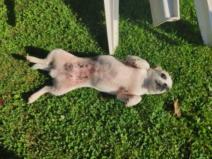 Photo de galerie - Garde de la petite Linda ! 