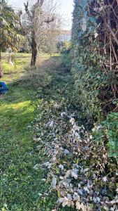 Photo de galerie - Nettoyage de jardin 